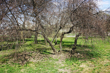 Similar image 1197396