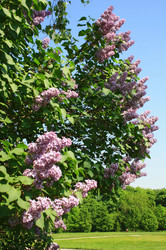 Similar image 1197397