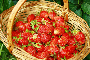 Similar image 1197398