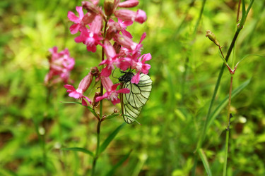 Similar image 1197400