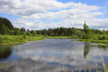 Similar image 1197402