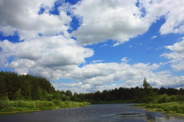 Similar image 1197403