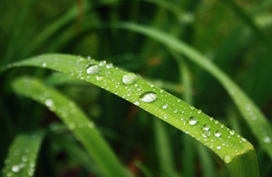 Similar image 1197404