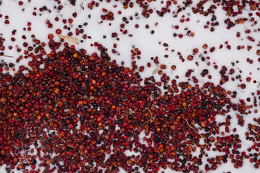 Similar image 1197406