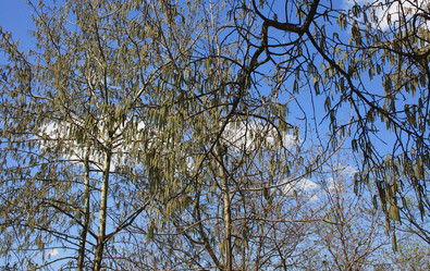 Similar image 1197418