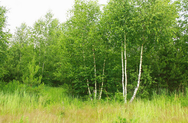 Similar image 1197419