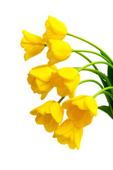 Similar image 1197435