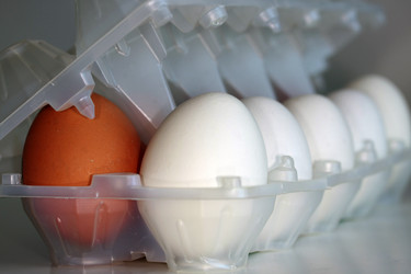 Similar image 1197438