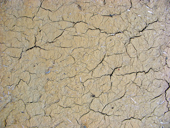 Similar image 1197450