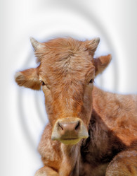 Similar image 1197451