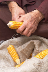 Similar image 1197479