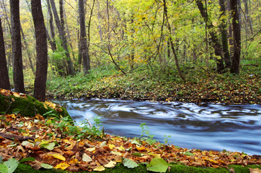 Similar image 1197484