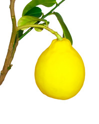 Similar image 1197635