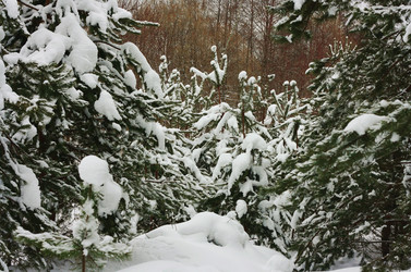 Similar image 1197653