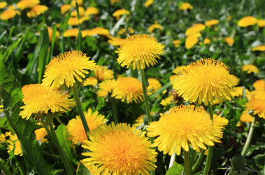 Similar image 1197657