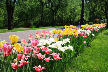 Similar image 1197659