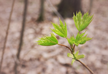 Similar image 1197660