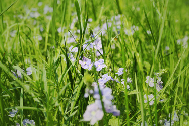 Similar image 1197661