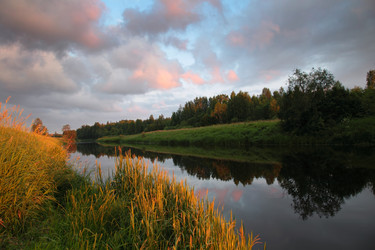 Similar image 1197683