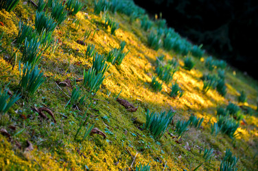 Similar image 1197687