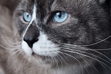 Similar image 1197745