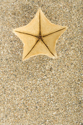 Similar image 1197788