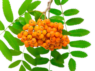 Similar image 1197809