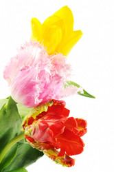 Similar image 1197824