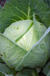 Similar image 1197848