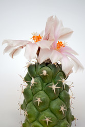 Similar image 1197972