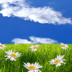 Similar image 1197992