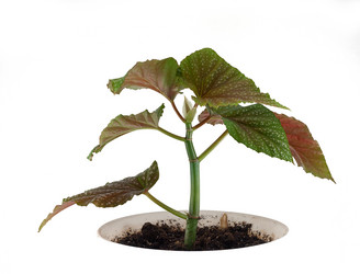 Similar image 1197995