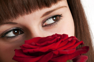 Similar image 1198009