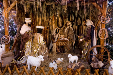 Similar image 1198033