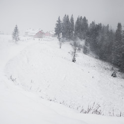 Similar image 1198037