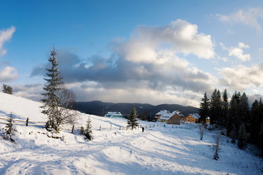 Similar image 1198049