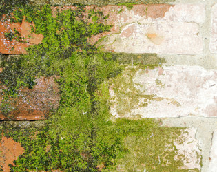 Similar image 1198096