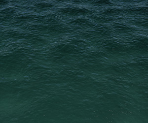 Similar image 1198202