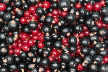 Similar image 1198231