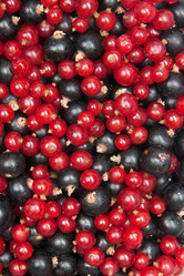 Similar image 1198239