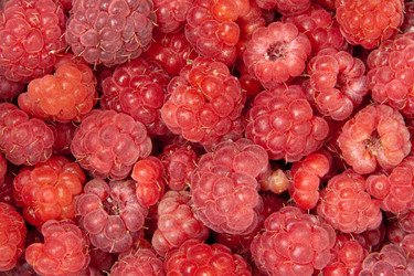 Similar image 1198244