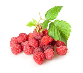 Similar image 1198245