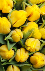 Similar image 1198246