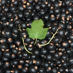 Similar image 1198248