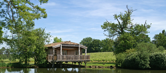 Similar image 1198268