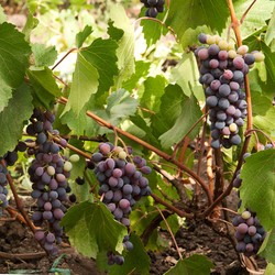 Similar image 1198269