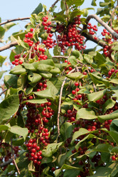 Similar image 1198273