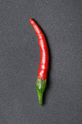 Similar image 1198278