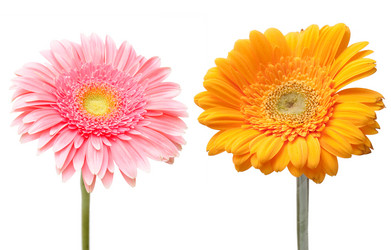 Similar image 1198291