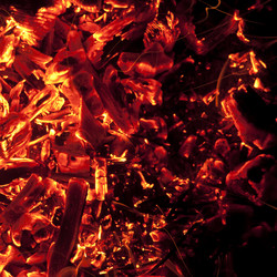 Similar image 1198296